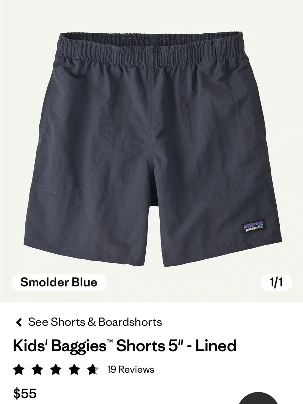 Patagonia lined size blue